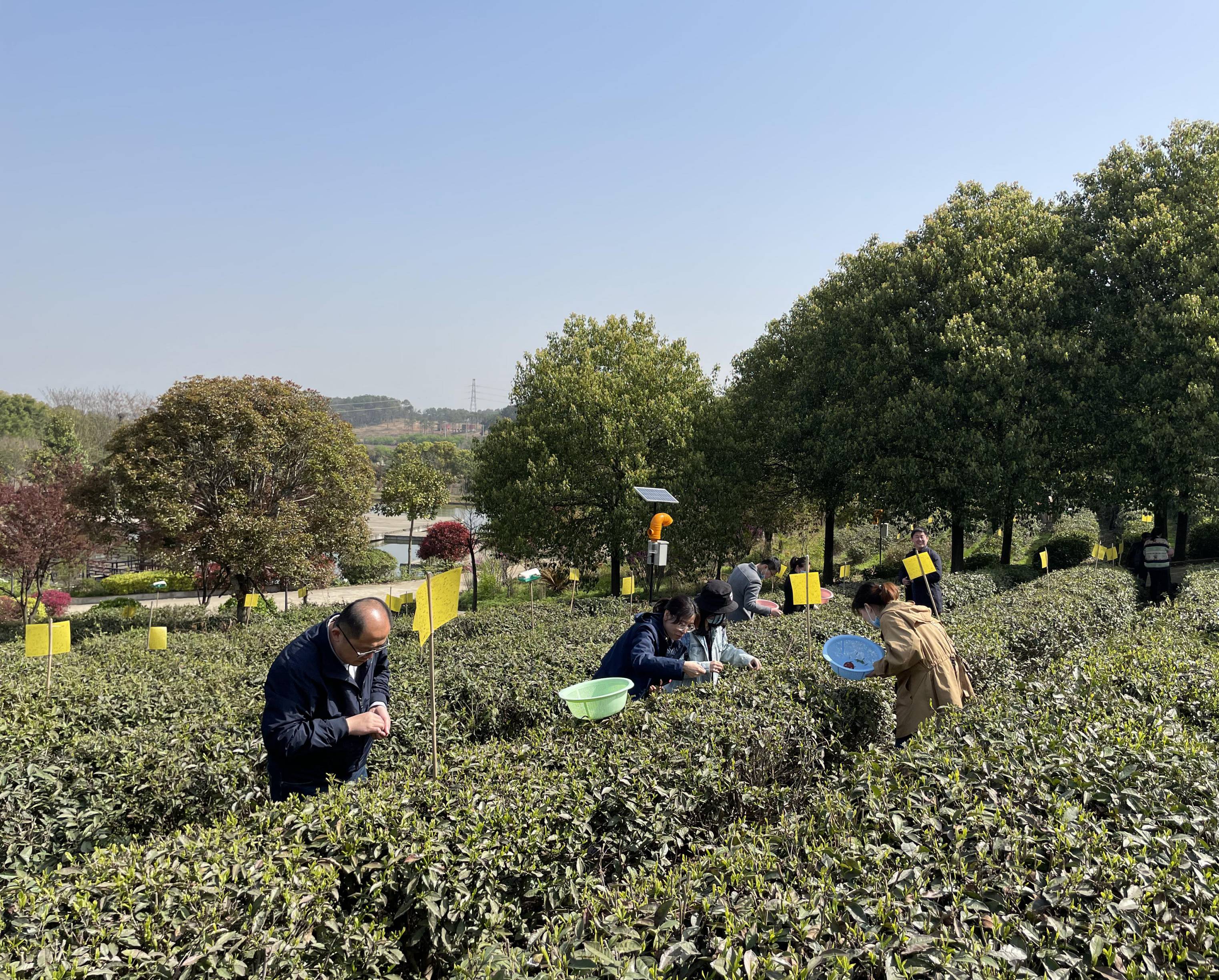 �������֡������,ܰ����,��ѡ��